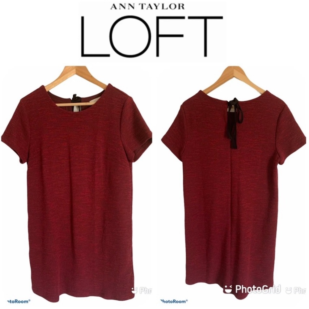 LOFT Sweater Dress in a Size 12 NWT